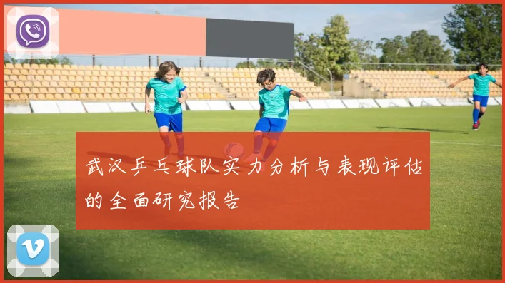 武汉乒乓球队实力分析与表现评估的全面研究报告